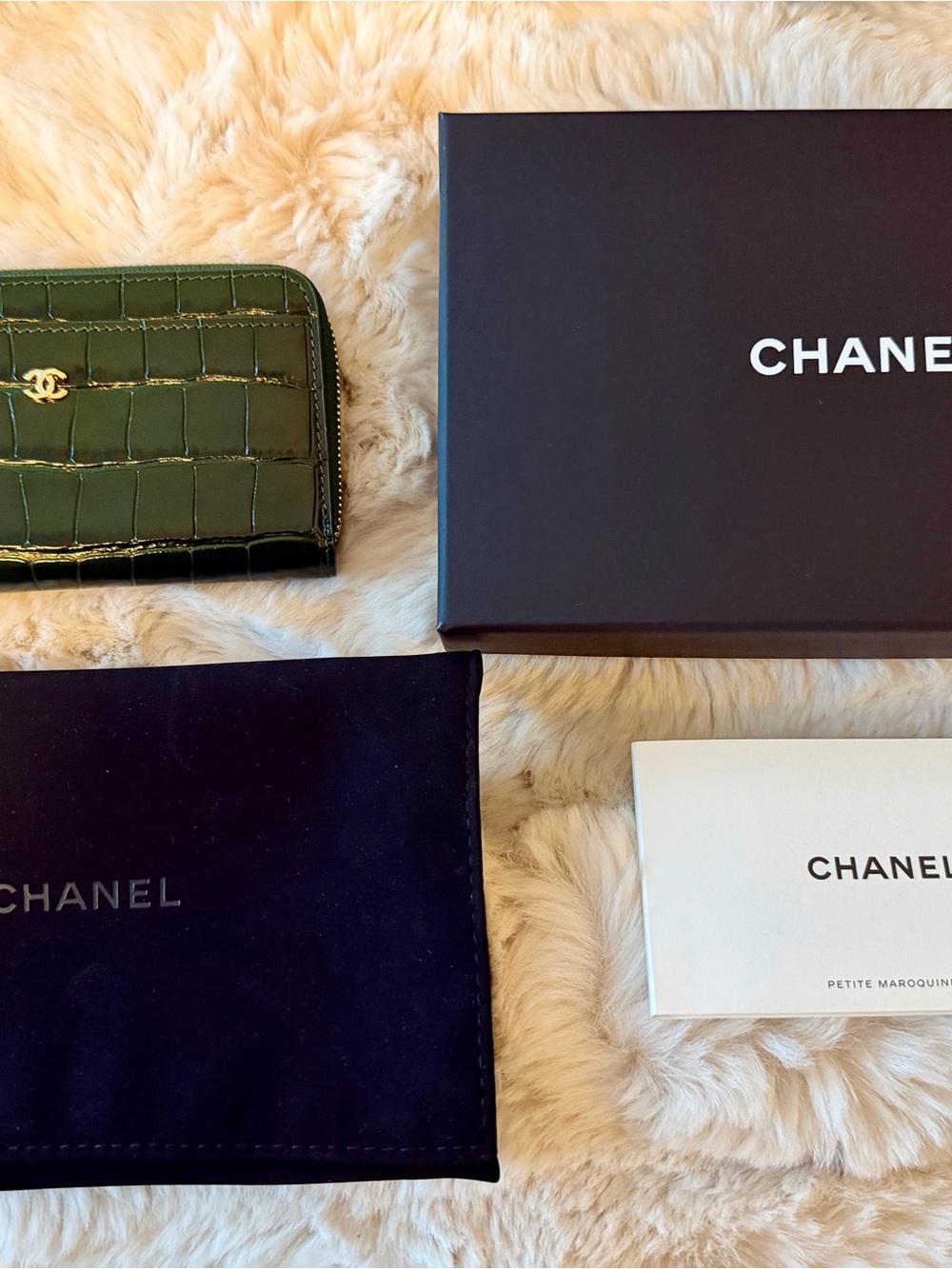 (Rare) CHANEL Green Croc-Embossed Leather Zip Cardholder (Matthieu Blazy 26S) - Picture 5 of 5
